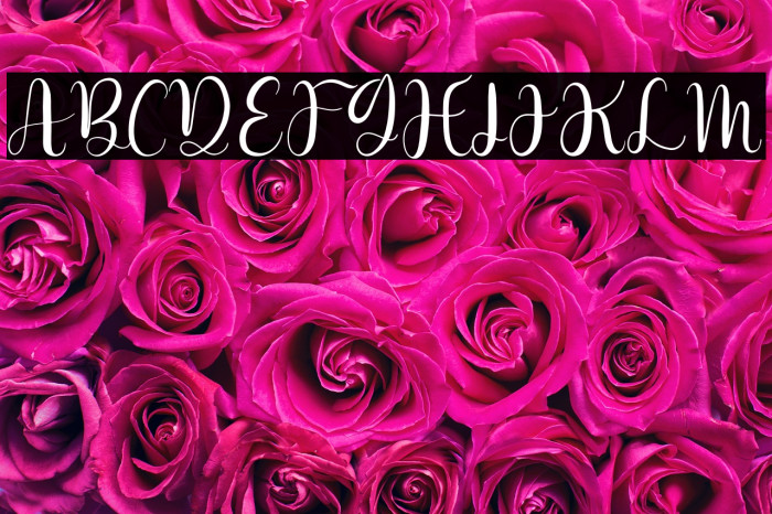 Dettina Laura Example 1