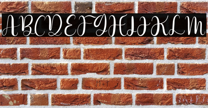 Dettina Laura Example 3