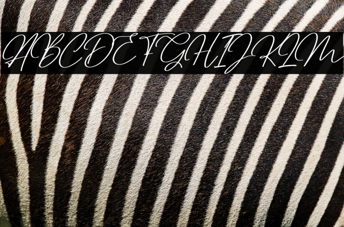 Dettreon Smith Italic Example 1