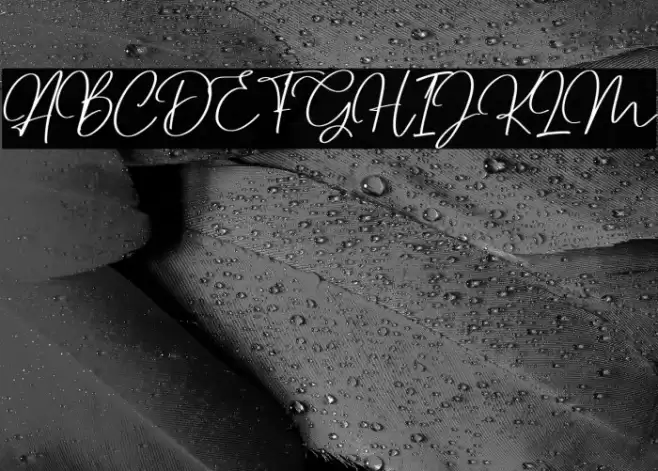 Dettreon Smith Font examples