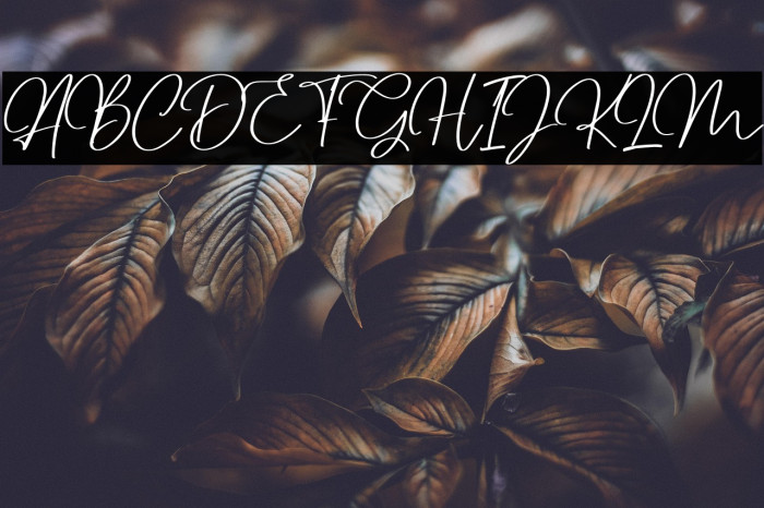 Dettreon Smith Example 3