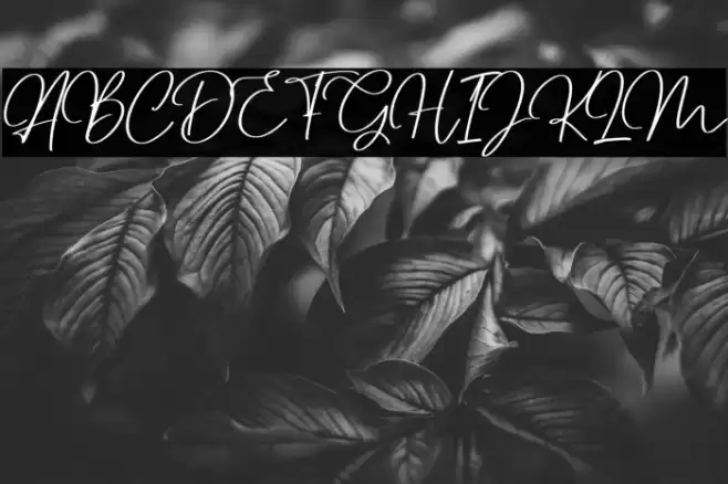 Dettreon Smith Font examples