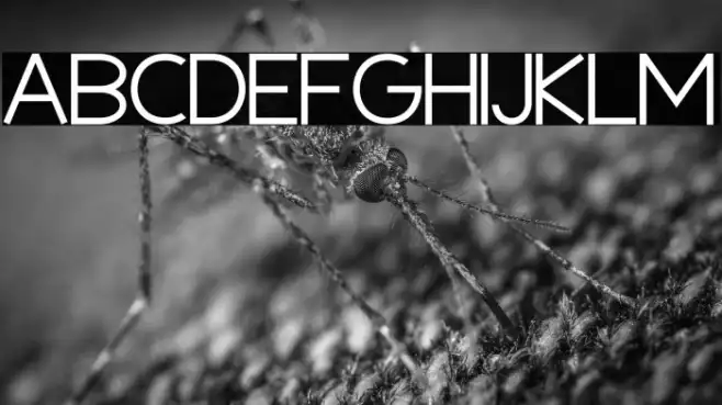 Deuglas Example 3