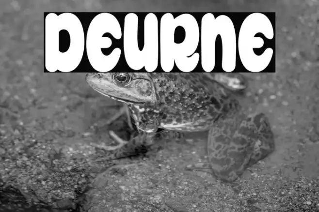 Deurne Example 1