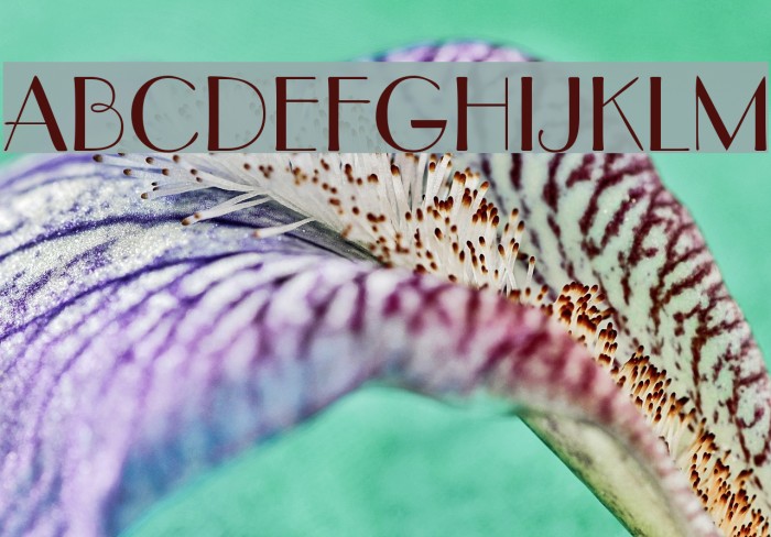 DeusenburgSSK Font examples