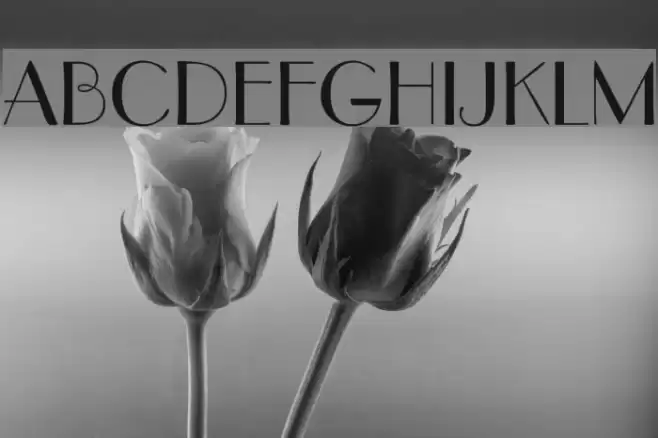 DeusenburgSSK Font examples