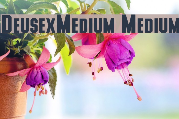 DeusexMedium Medium Font examples