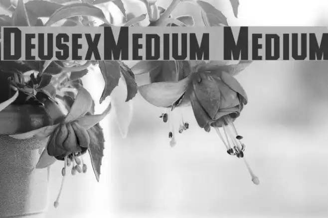 DeusexMedium Medium Example 2