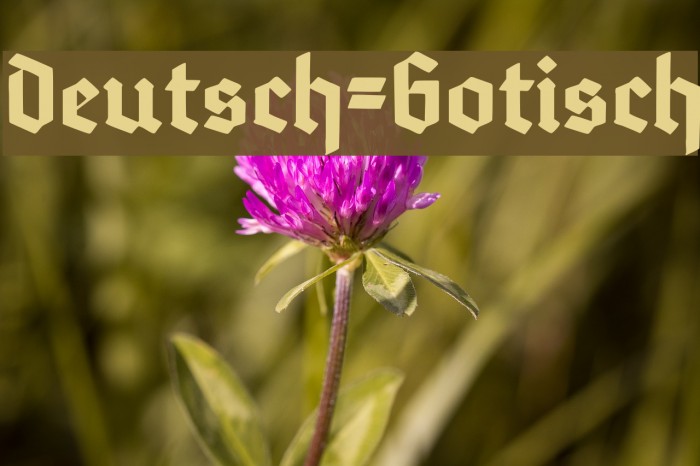 Deutsch-Gotisch Example 3