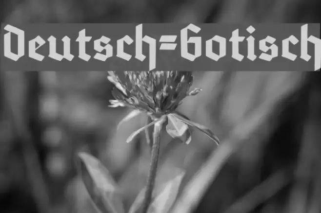 Deutsch-Gotisch Font examples