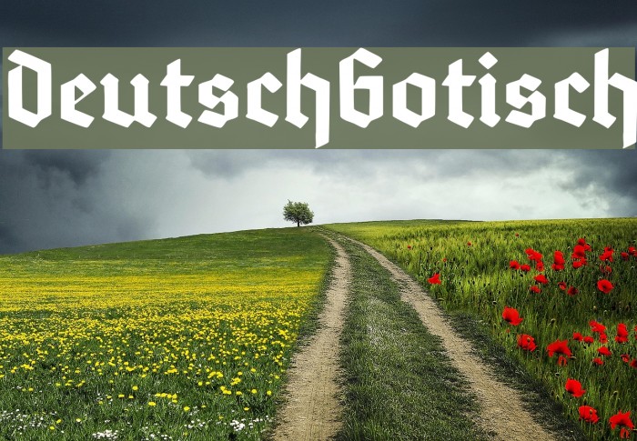 DeutschGotisch Font - FFonts.net