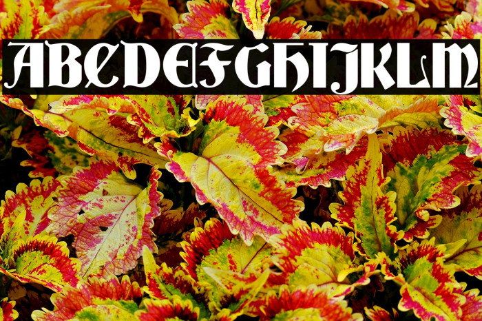 Deutsch خط examples