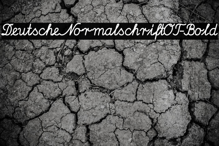 DeutscheNormalschriftOT-Bold Example 1