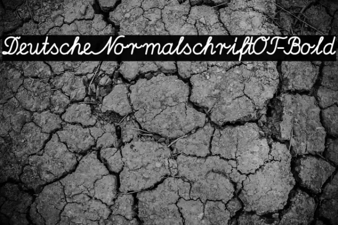 DeutscheNormalschriftOT-Bold Font examples