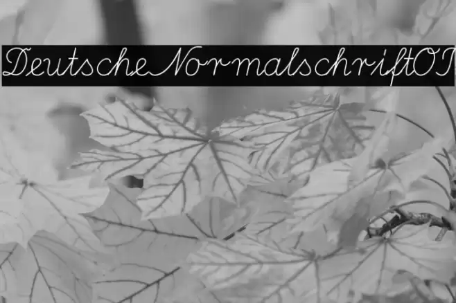 DeutscheNormalschriftOT Font examples