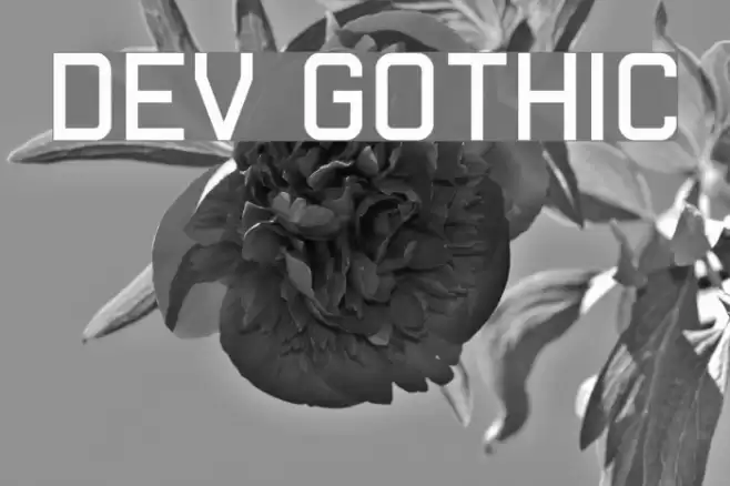 Dev Gothic Font examples