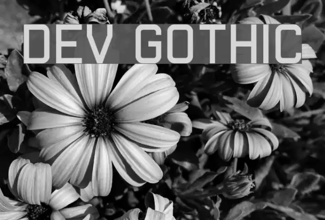 Dev Gothic Font examples
