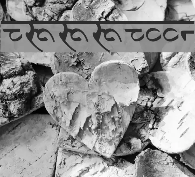 DevanagariDelhiSSK Font examples