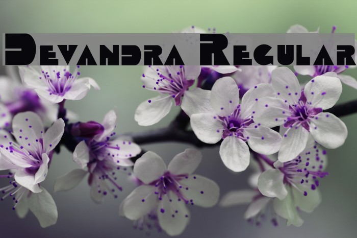 Devandra Regular フォント examples