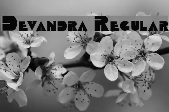 Devandra Regular フォント examples
