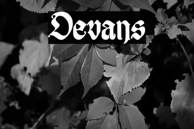 Devans Font examples