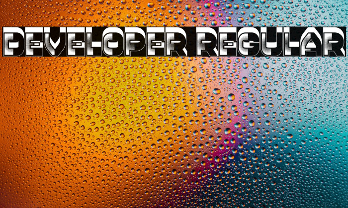 Developer Regular Example 1