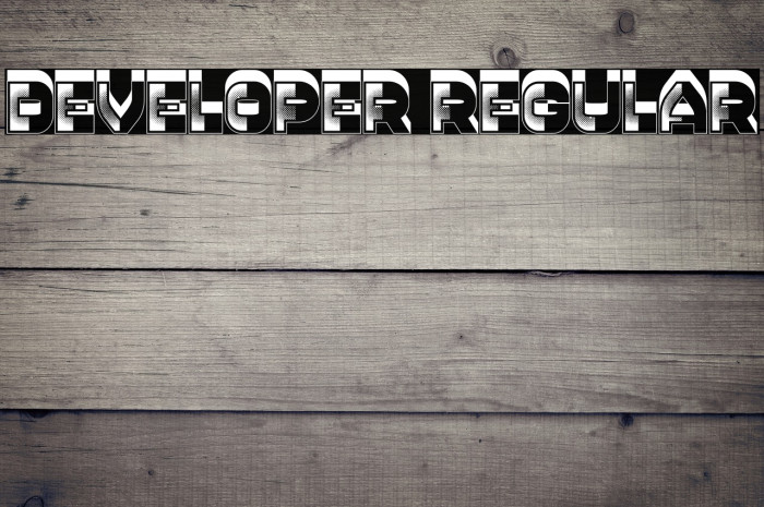 Developer Regular Example 2