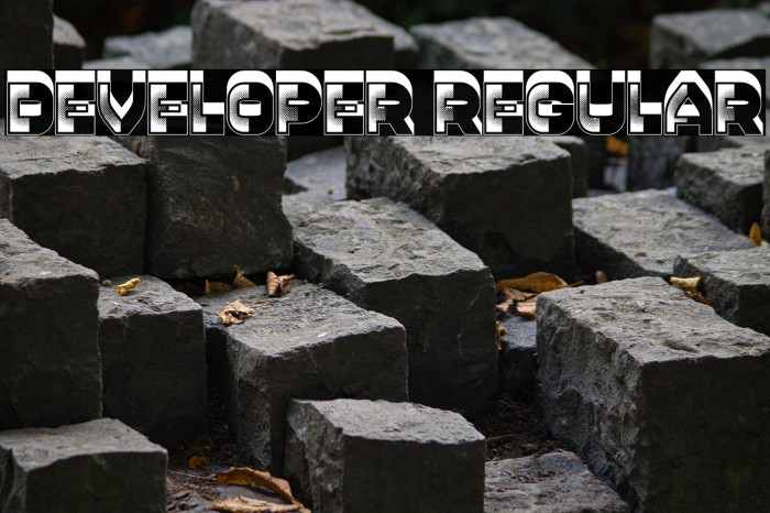 Developer Regular Example 3