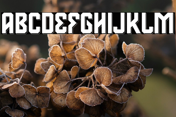 Deventer PERSONAL USE 3 Example 1