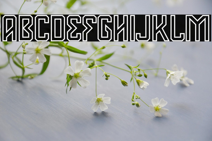 Deventer PERSONAL USE 4 Example 1