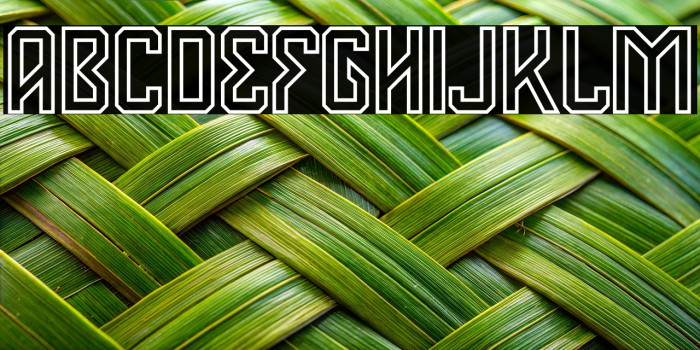 Deventer PERSONAL USE 4 Example 3