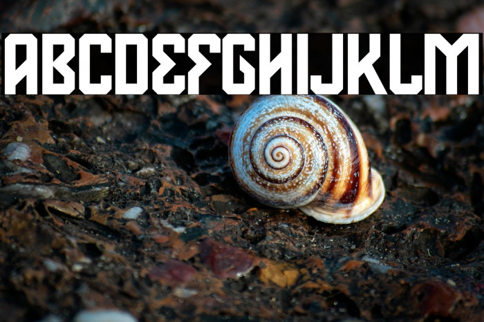 Deventer PERSONAL USE Example 2