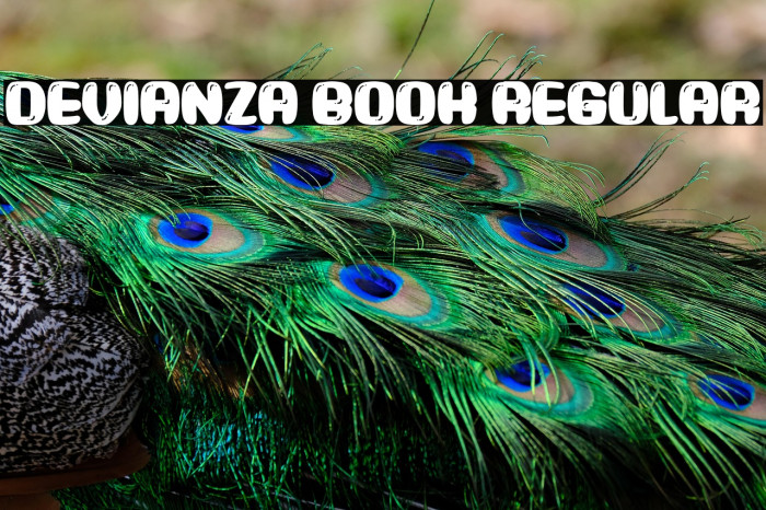 Devianza Book Regular Example 1