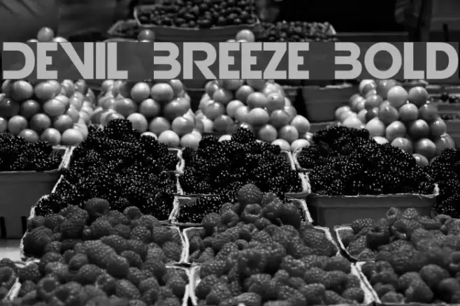 Devil Breeze Bold Font examples