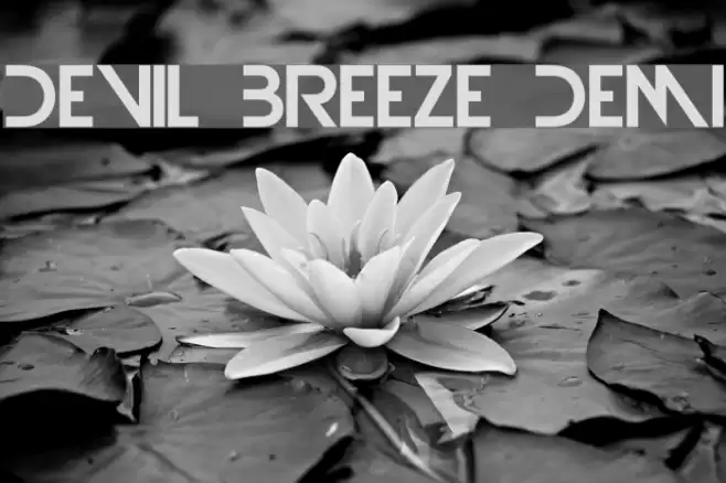 Devil Breeze Demi Font examples