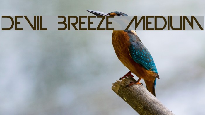 Devil Breeze Medium Example 3