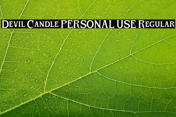 Devil Candle PERSONAL USE Regular Example 1