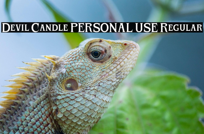 Devil Candle PERSONAL USE Regular Example 2