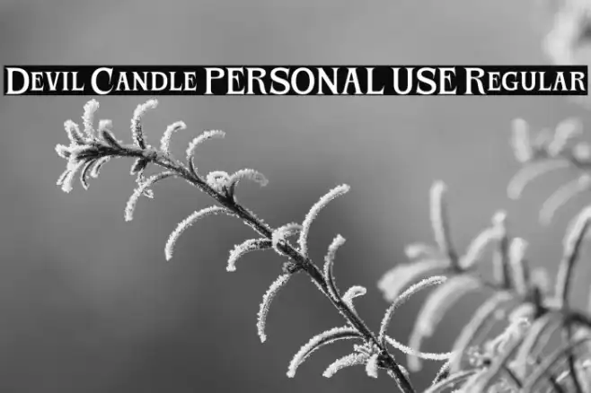 Devil Candle PERSONAL USE Regular Example 3