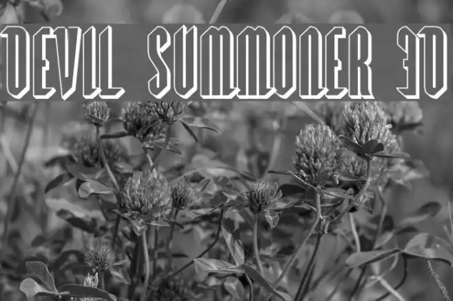 Devil Summoner 3D Example 2
