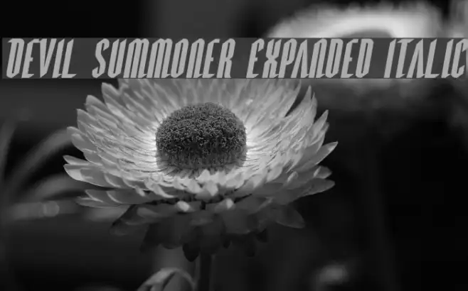 Devil Summoner Expanded Italic Example 1
