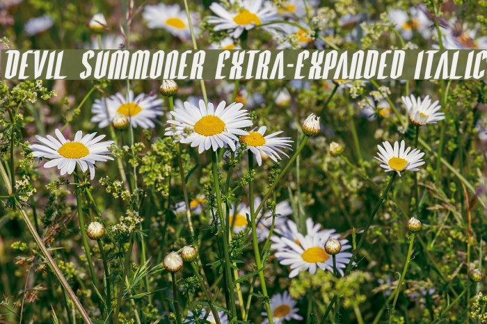 Devil Summoner Extra-Expanded Italic Font examples