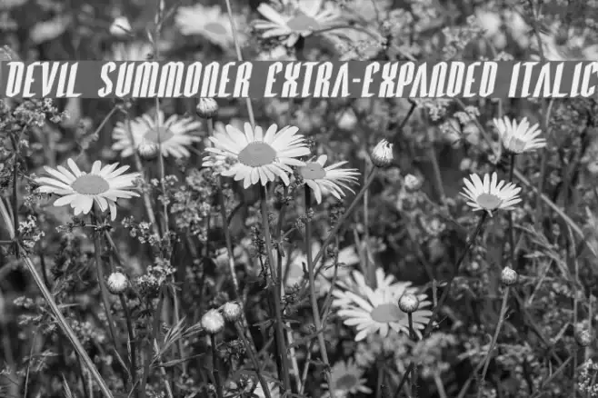 Devil Summoner Extra-Expanded Italic Example 1