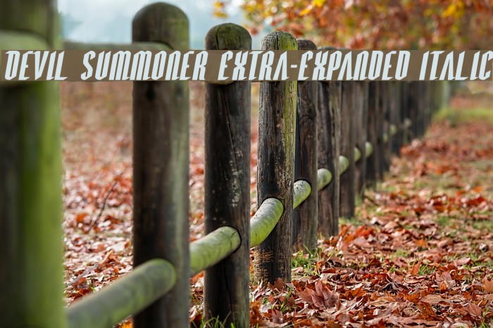 Devil Summoner Extra-Expanded Italic Font examples