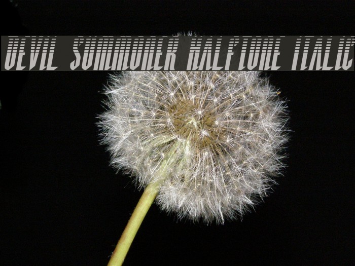 Devil Summoner Halftone Italic Example 3