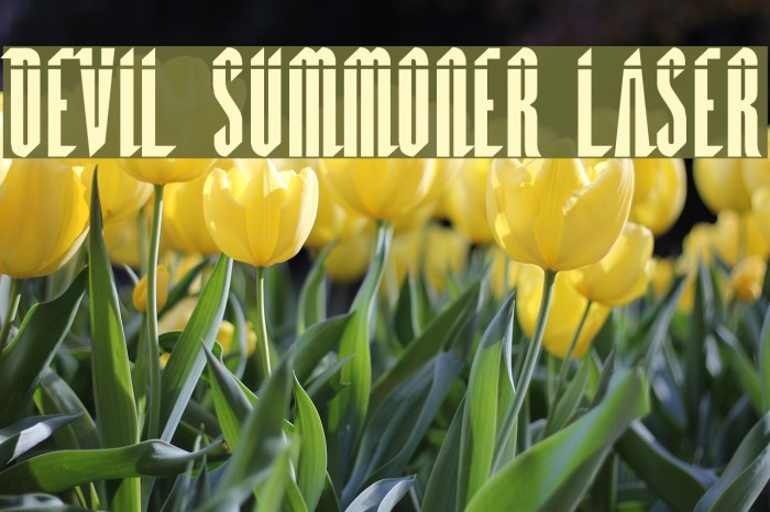 Devil Summoner Laser Font examples