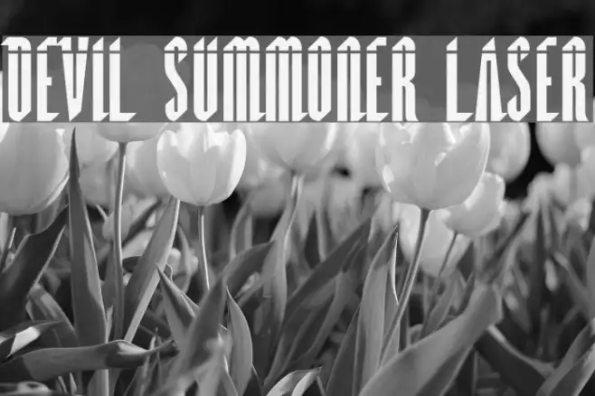 Devil Summoner Laser Example 2