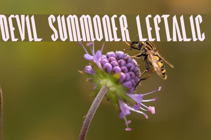 Devil Summoner Leftalic Font examples