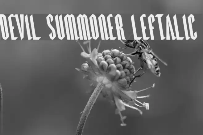 Devil Summoner Leftalic Font examples