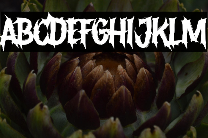 Devils Crew Example 3